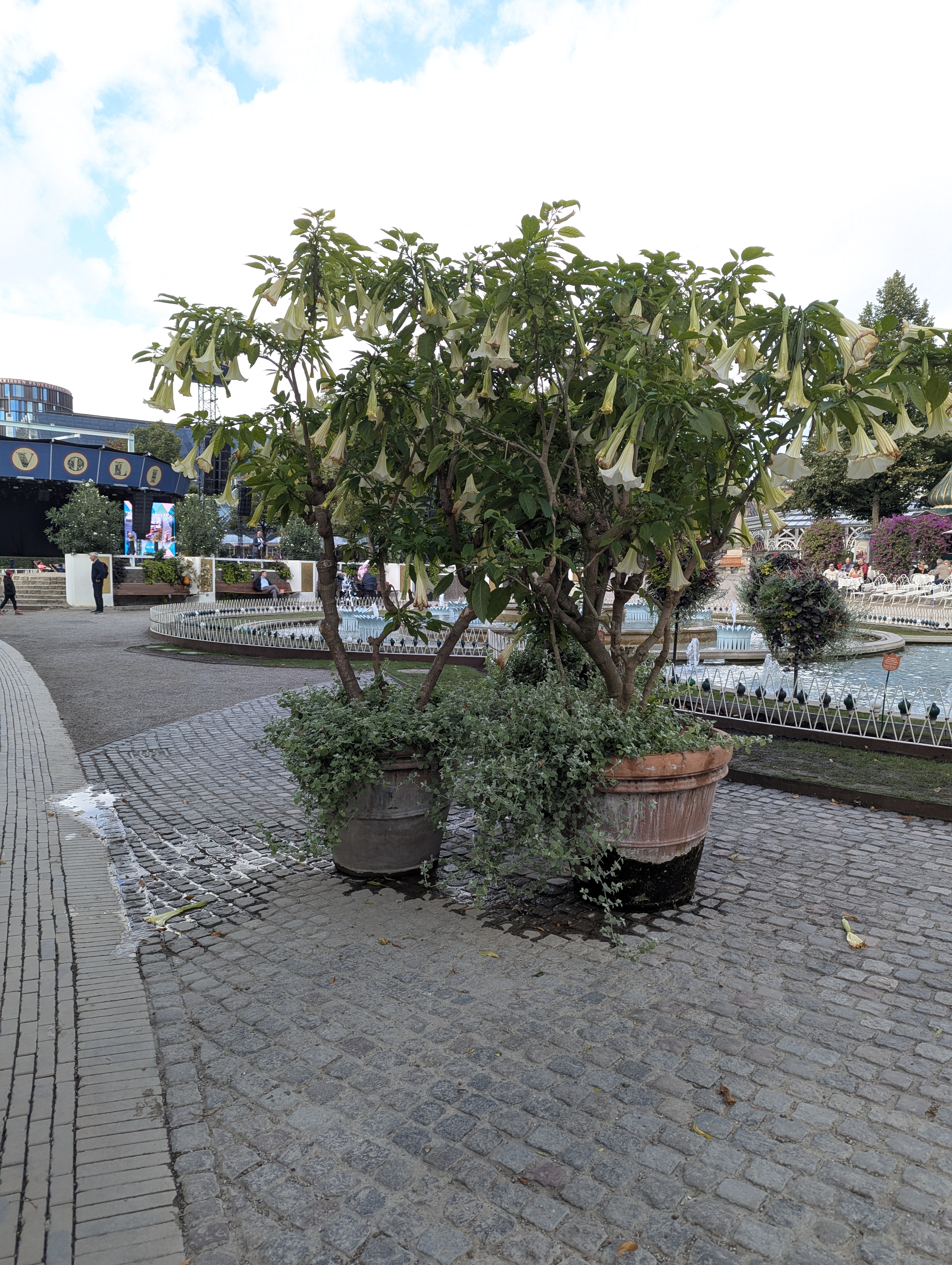 Copenhagen, SSPC, Tivoli, Denmark